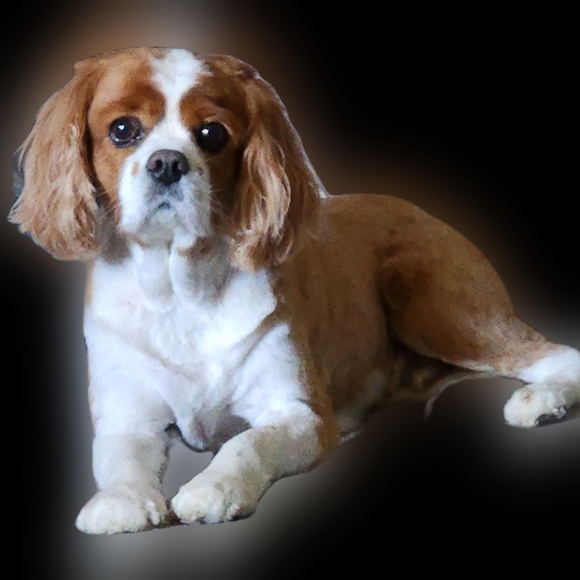 Meet your Posher, Mary - Picture 2 of 2